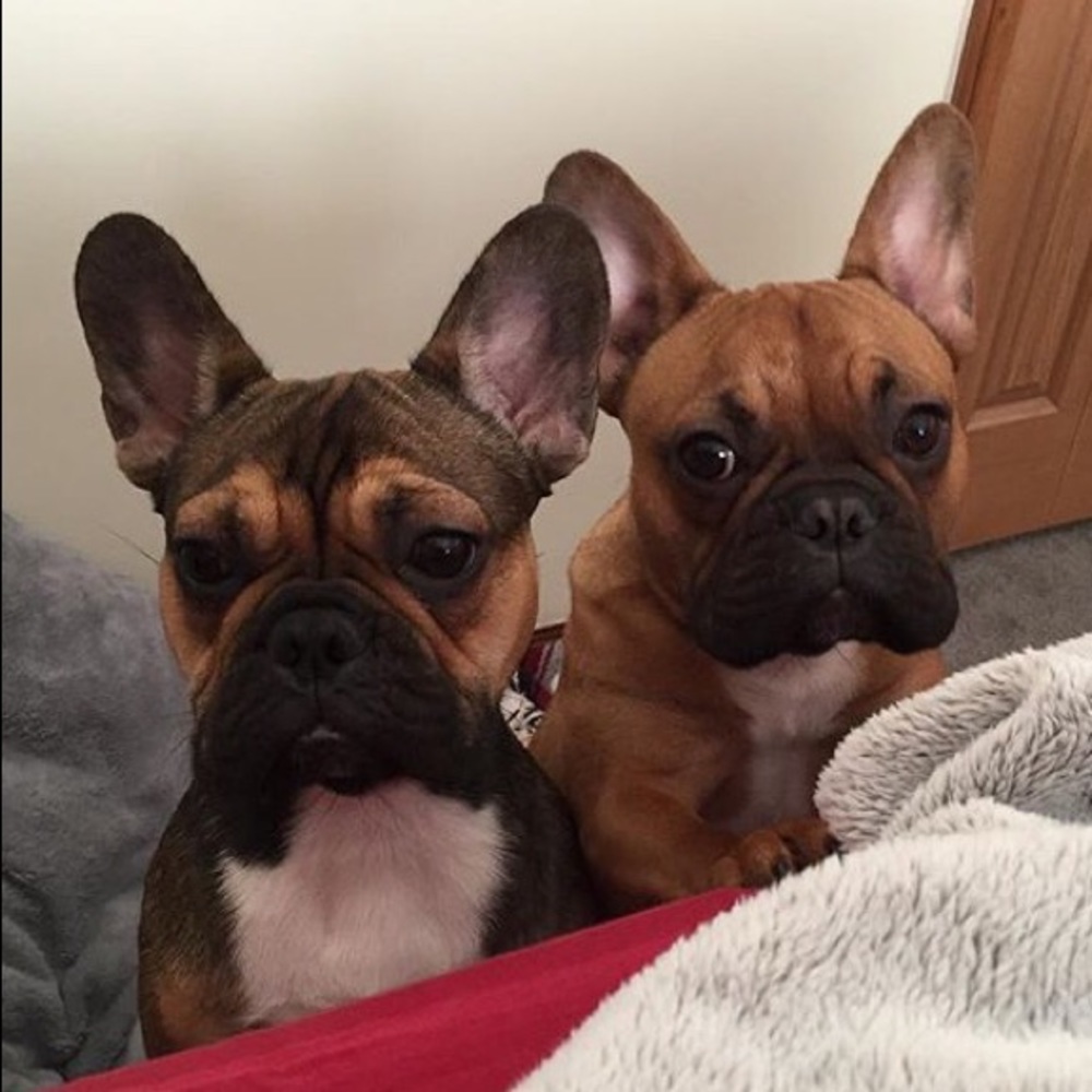 Meet your Posher, Percilla